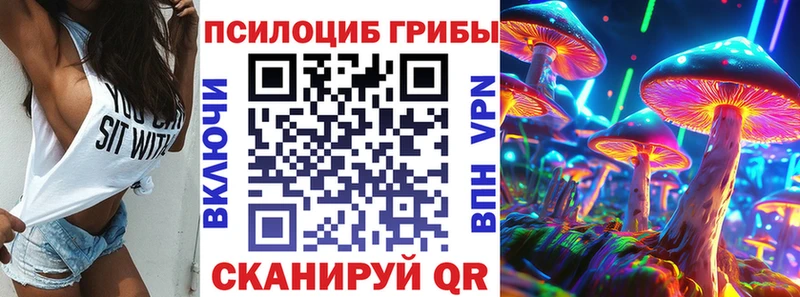 mega tor купить закладку Новосибирск Псилоцибиновые грибы GOLDEN TEACHER